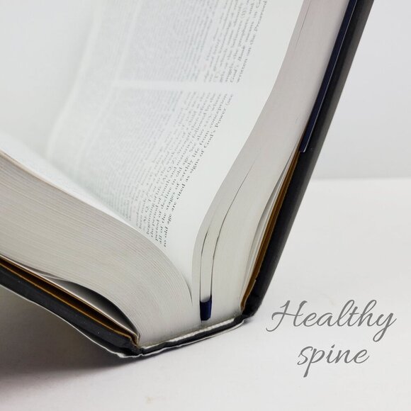 Study Quran Book New Translation Commentary Nasr Hardcover First Edition 2015 - Picture 7 of 11